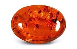 Amber-Gemstone